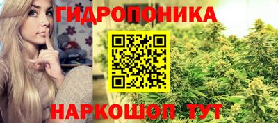 сатива Бузулук