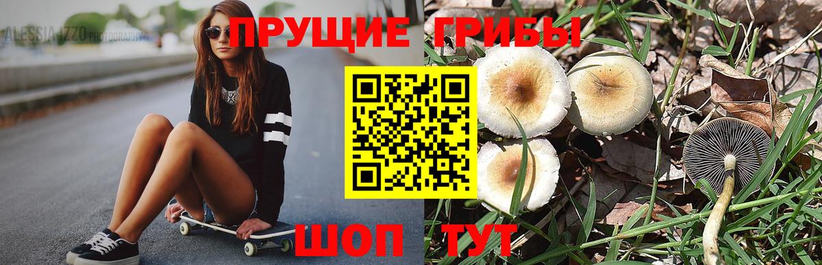 Псилоцибиновые грибы ЛСД Коммунар